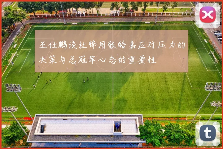 王仕鹏谈杜锋用张皓嘉应对压力的决策与总冠军心态的重要性
