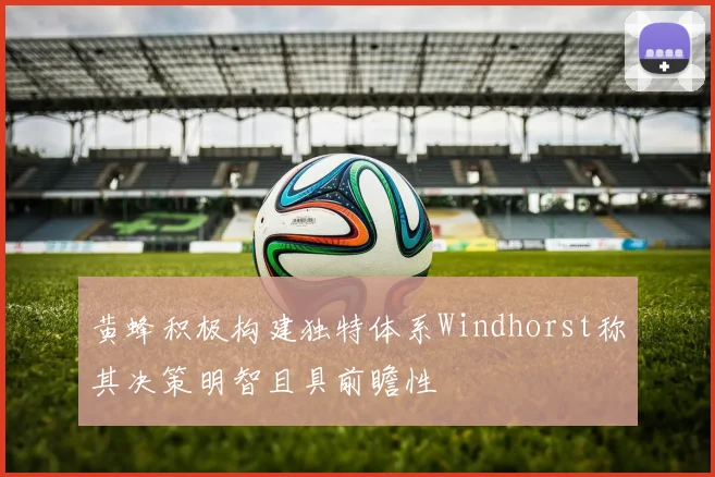黄蜂积极构建独特体系Windhorst称其决策明智且具前瞻性