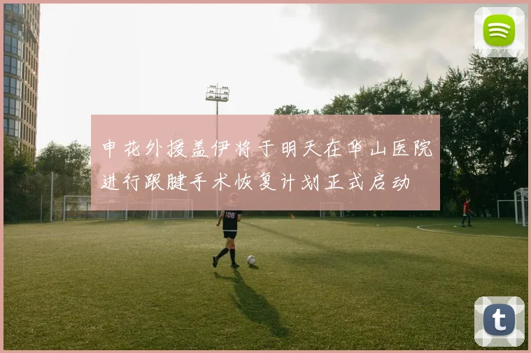 申花外援盖伊将于明天在华山医院进行跟腱手术恢复计划正式启动