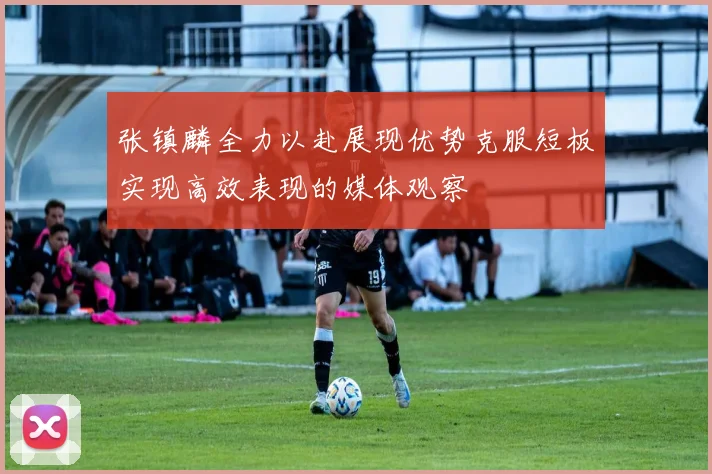张镇麟全力以赴展现优势克服短板实现高效表现的媒体观察